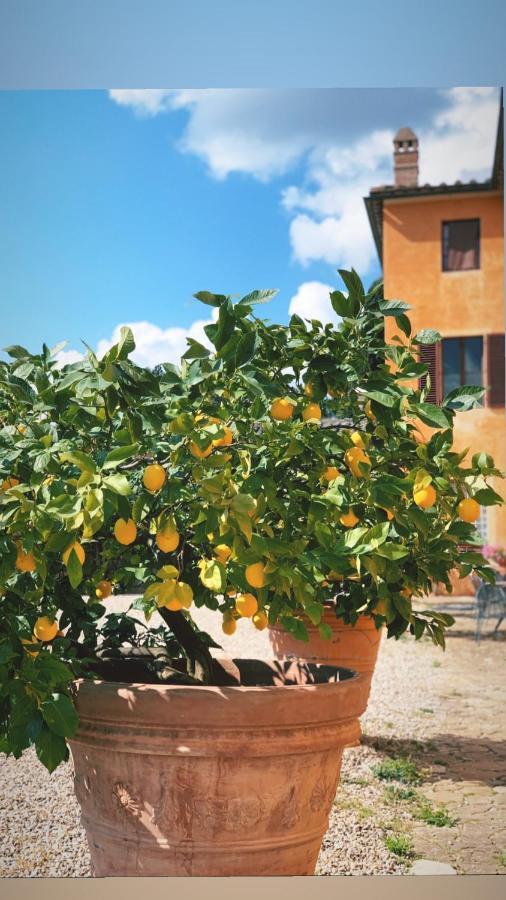 منزل الضيف San Giovanni   في Fattoria Di Catignano المظهر الخارجي الصورة